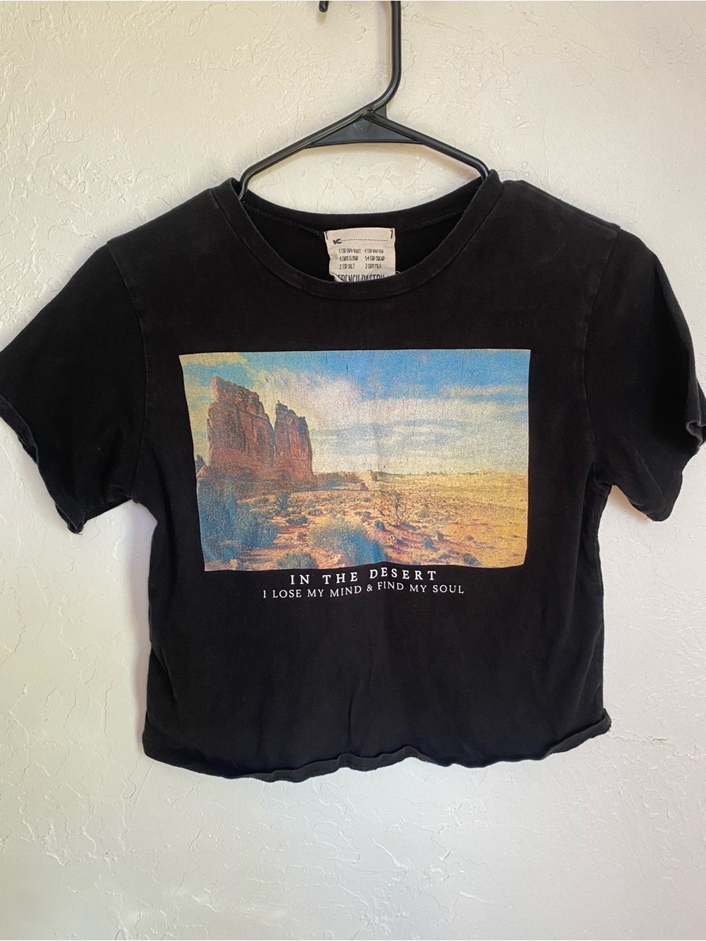 Black 'In the Desert' Graphic Crop Tee